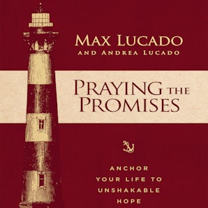 Praying the Promises book image