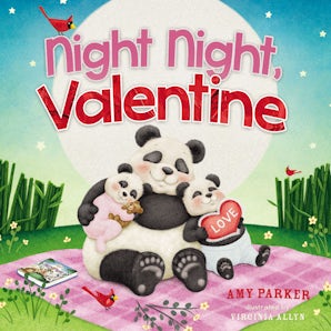 Night Night, Valentine book image