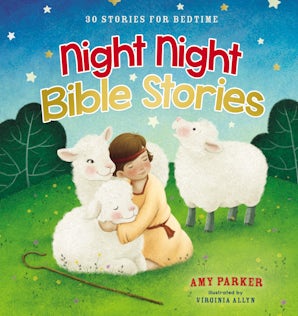 Night Night Bible Stories book image