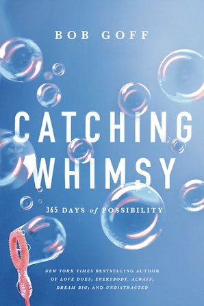 Catching Whimsy book image