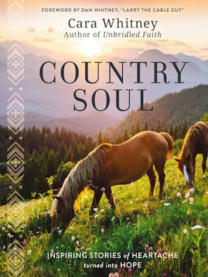 Country Soul book image