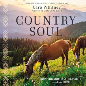 Country Soul book image