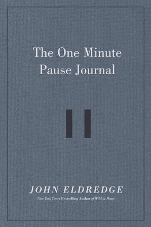 The One Minute Pause Journal book image