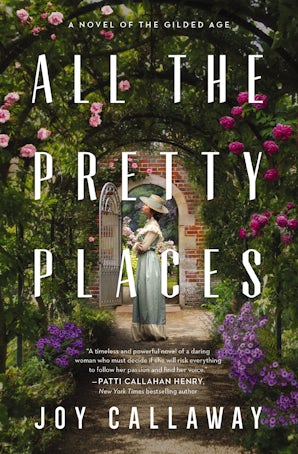 All the Pretty Places book image