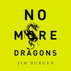 No More Dragons book image