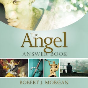 The Angel Answer Book book image