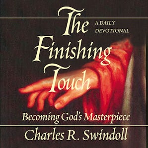 Finishing Touch book image
