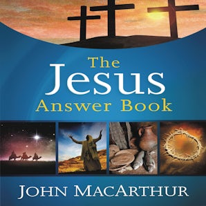 The Jesus Answer Book book image