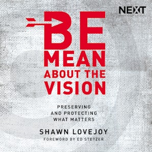 Be Mean About the Vision book image