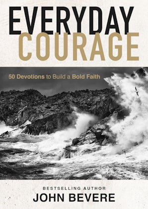Everyday Courage book image