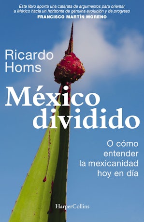 México dividido Paperback  by Ricardo Homs