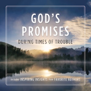 God's Promises During Times of Trouble book image