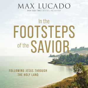 In the Footsteps of the Savior book image
