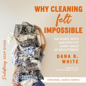 Why Cleaning Felt Impossible book image