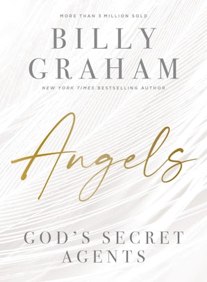 Angels book image
