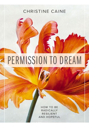 Permission to Dream book image