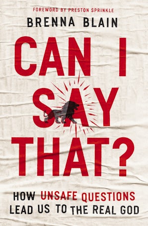 Can I Say That? book image