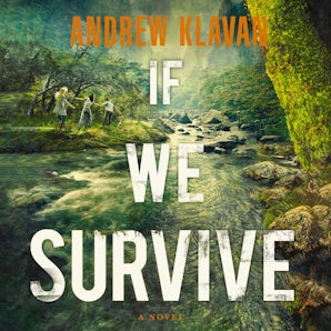 If We Survive book image