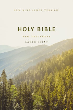 NKJV Large Print Outreach New Testament Bible, Scenic Softcover, Comfort Print book image