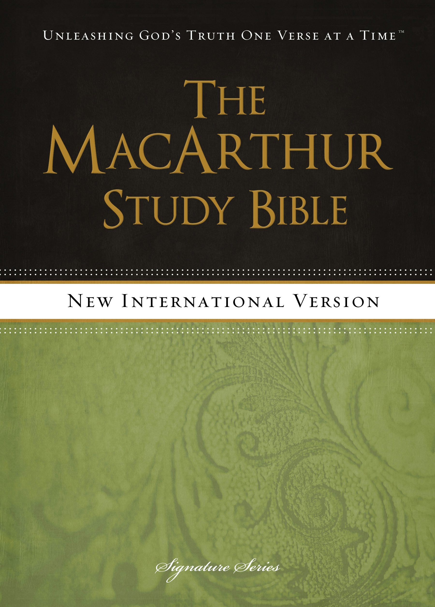 bible analyzer new international version