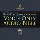 Voice Only Audio Bible - New King James Version, NKJV (Narrated by Bob Souer): (26) Luke