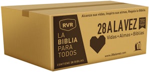 RVR-Santa Biblia - Edición económica / Paquete de 28 Paperback  by Reina Valera Revisada