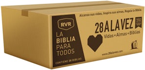 RVR-Santa Biblia - Edición económica / Paquete de 28 Paperback