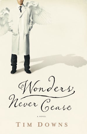 Wonders Never Cease Paperback  by Tim Downs
