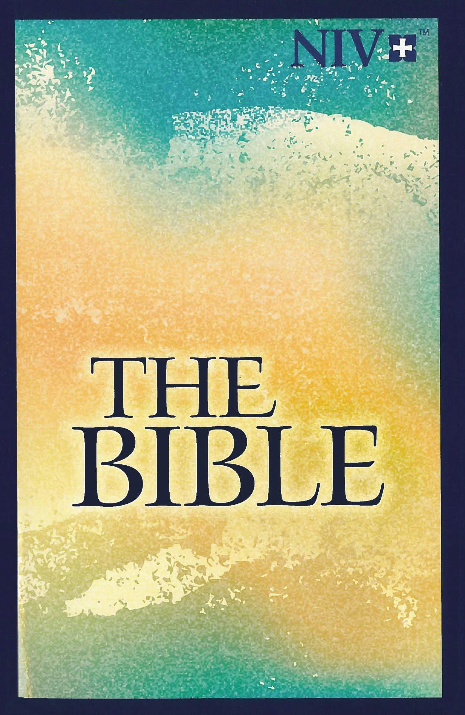 NIV, Holy Bible, Larger Print, Paperback