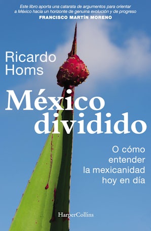 México dividido eBook