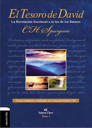 El Tesoro de David I Hardcover